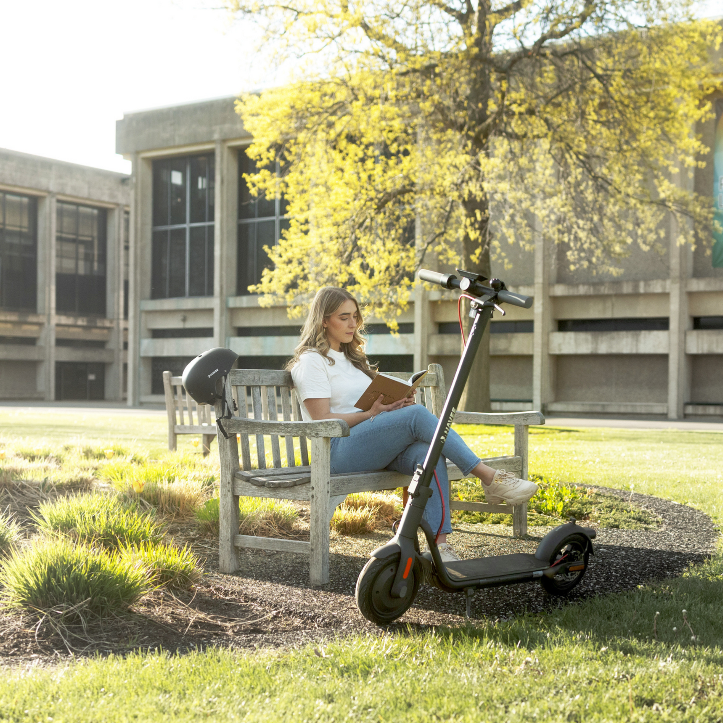 NAVEE V50 Electric Scooter - REVRides