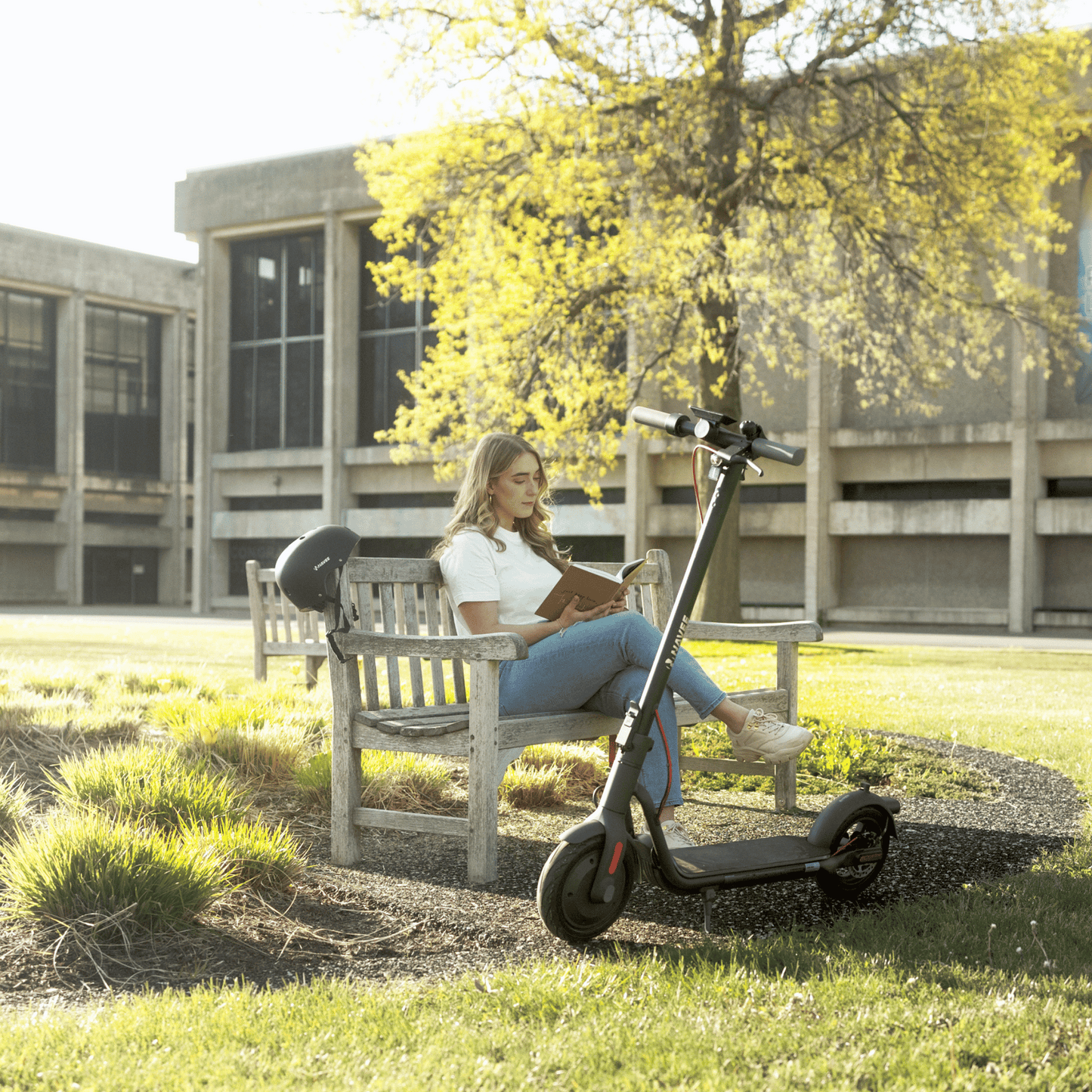 NAVEE V40 Electric Scooter - REVRides