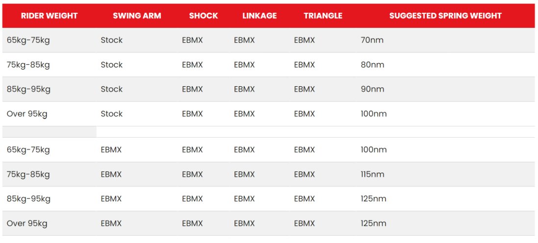 EBMX Rear Shock with upgraded Linkage and Triangle - REVRides